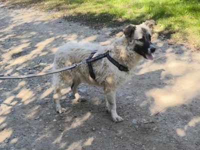 Hübsche Chanel sucht ihr Traumzuhause