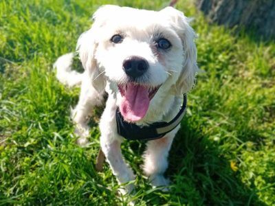 Vom Straßenstaub ins Herz – Kathys leiser Weg ins Glück