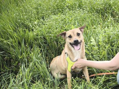 Penny – kleine Entdeckerin mit großem Herzen sucht ihr Zuhause