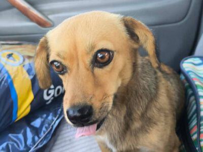 Daisy – Endlich frei und willkommen im Leben!